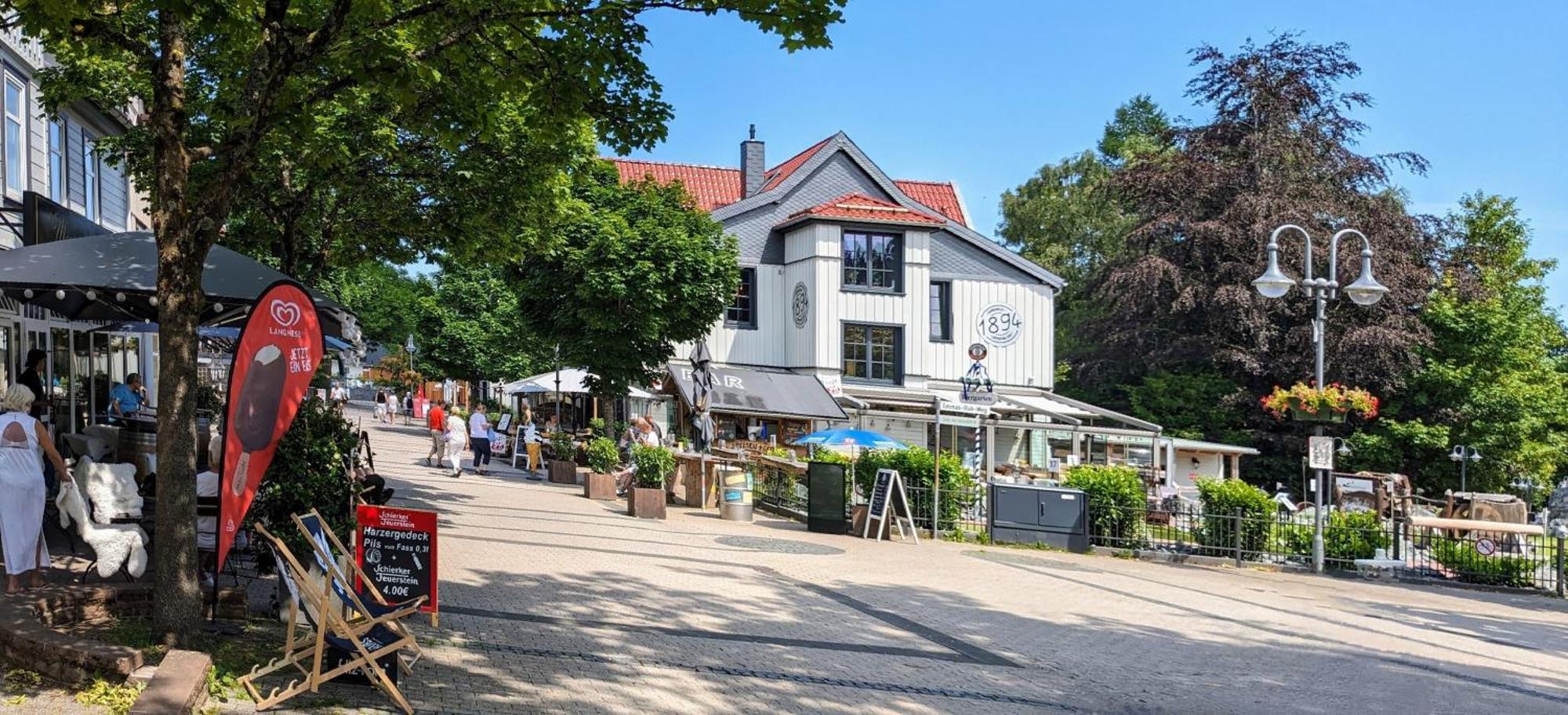 Kleine Freiheit Apartment Am See ゴスラー エクステリア 写真